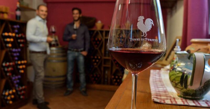 Chianti: Terre Di Perseto Winery Guided Tasting & Tour - The Practicalities