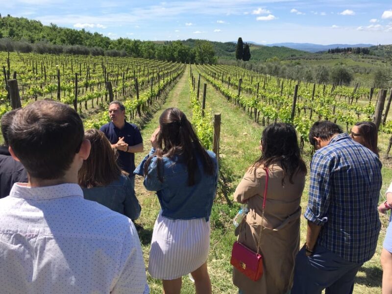 Chianti: Vineyard to Bottle Winery Visit with Tastings - Frequently Asked Questions
