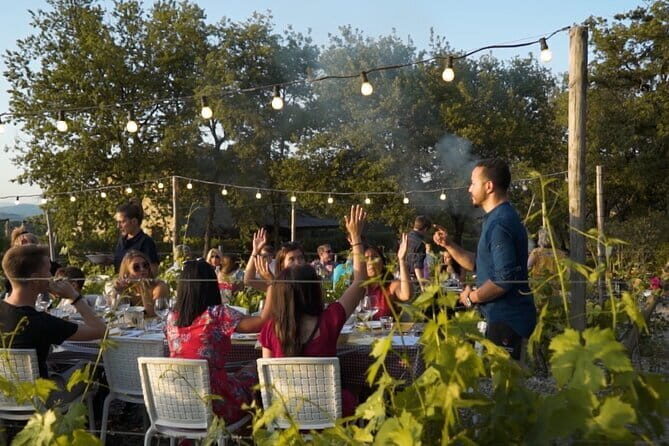 Chianti vineyards: Small-Group tour with wine tasting & Dinner - What to Expect From This Chianti Vineyard Tour