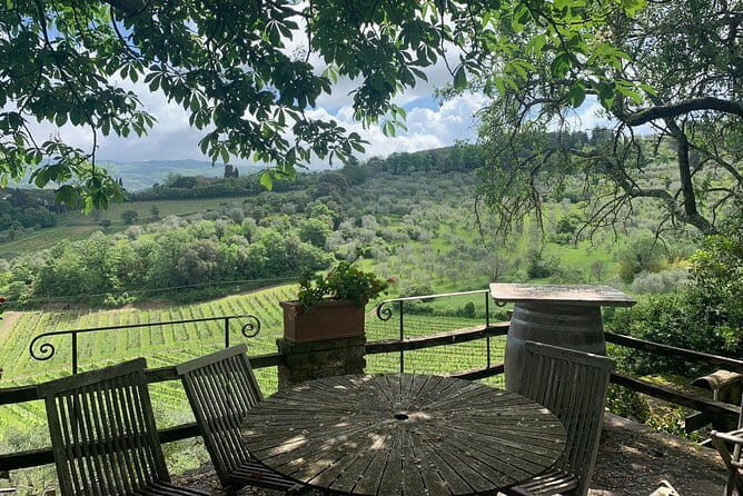 Chianti Vineyards Tours in Private Luxury Van from Florence - A Deep Dive Into the Experience