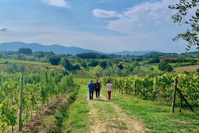 Chianti Wine Tasting Tour from Florence (2 Wineries) - Why Choose This Chianti Wine Tasting Tour?