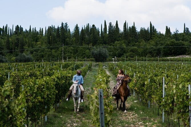 Chianti Wine Tastings at Sunset Day Trip from Florence - Practical Tips for Future Travelers