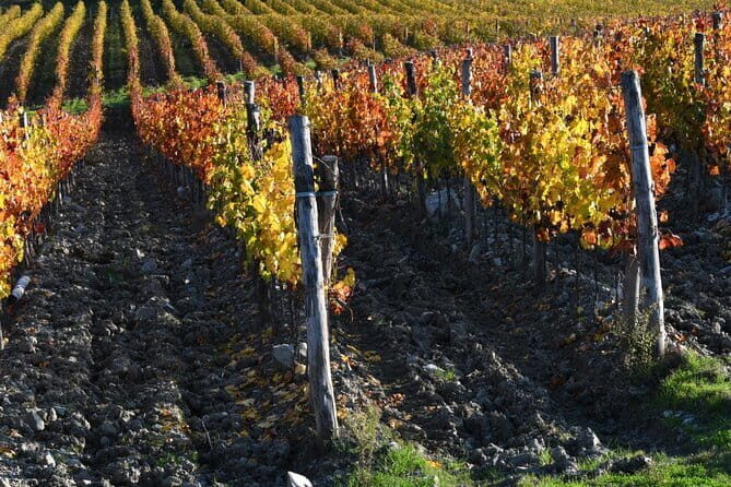Chianti Wine Tour from Florence to San Gimignano with 2 Wineries - Final Thoughts: Is It Worth It?