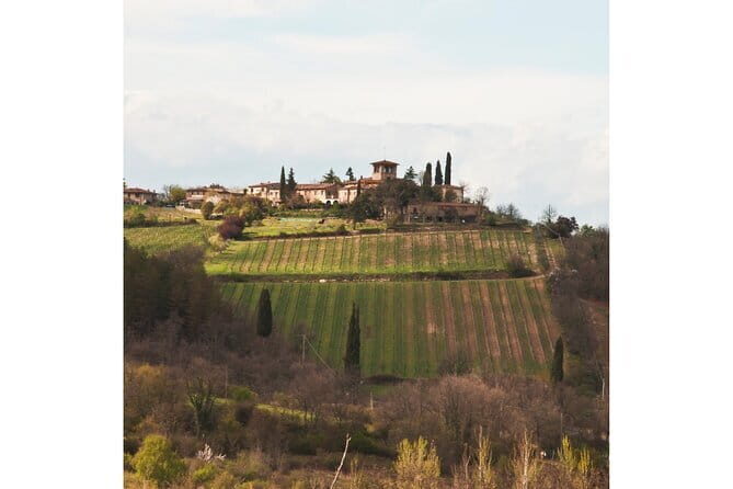 Chianti Wine Tour from Florence to San Gimignano with 2 Wineries - The Experience: What to Expect from Start to Finish