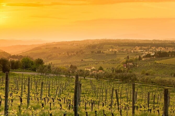 Chianti Wine Tour from Florence to San Gimignano with 2 Wineries - FAQ