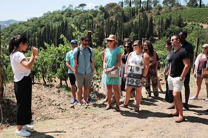 Chianti Wine Tour: Two Wine Tastings, Vineyards and Cellar Visit - Who Should Consider This Tour?
