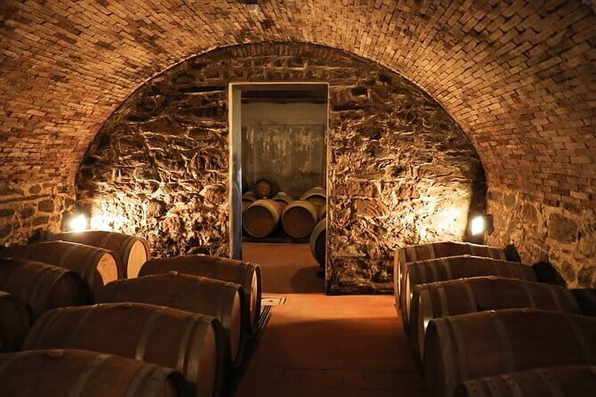 Chianti Wine Tour: Two Wine Tastings, Vineyards and Cellar Visit - FAQ