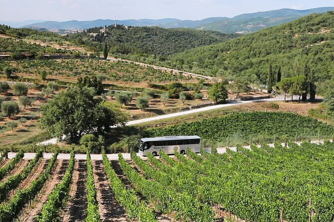 Chianti Wine Tour: Two Wine Tastings, Vineyards and Cellar Visit - Exploring the Itinerary in Detail