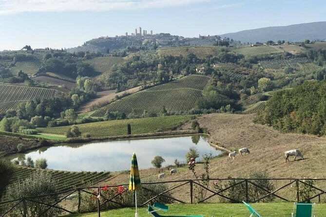 Chianti Wineries Tour with Tuscan Lunch and San Gimignano - Key Points