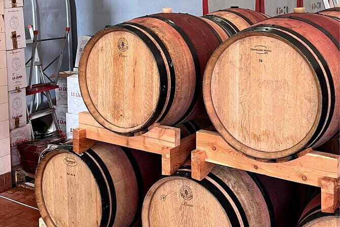 Chianti Winery + Brolio Castle Private Tour - What Makes This Tour Special?