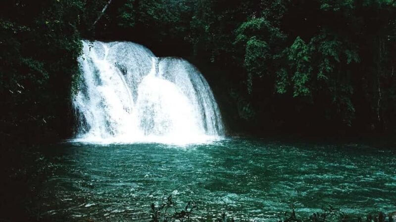 Chiapas: 4-Day Highlight Tour - Who Will Love This Tour?