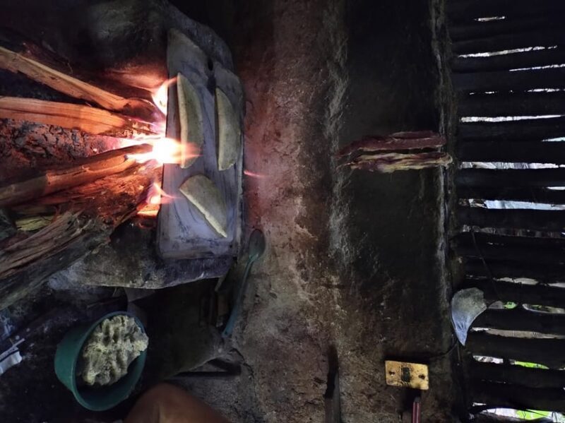 Chiapas Highlands: Ancient Rituals and Traditions Tour - Final Words