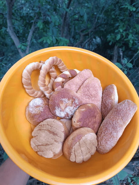 Chiapas: Immersive Zoque Culinary Experience - An Authentic Look at Chiapas’ Zoque Culture