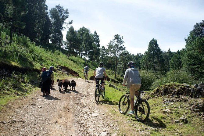 Chiapas Indigenous Villages and Mountain Bike Tour - An In-Depth Look at the Chiapas Indigenous Villages and Mountain Bike Tour