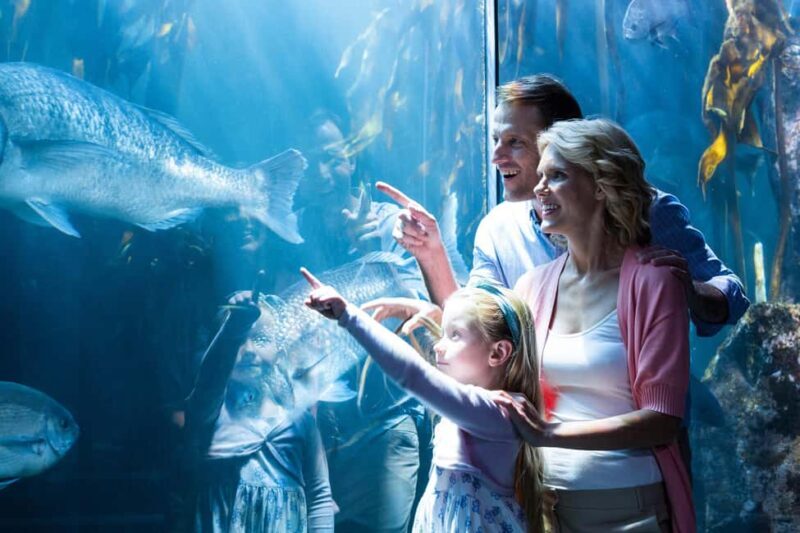 Chicago: 1-5 Day Attraction Pass with Shedd Aquarium - FAQ