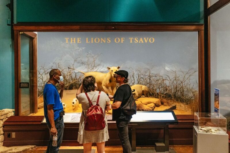 Chicago: Field Museum of Natural History Ticket or VIP Tour - Getting to Know the Field Museum