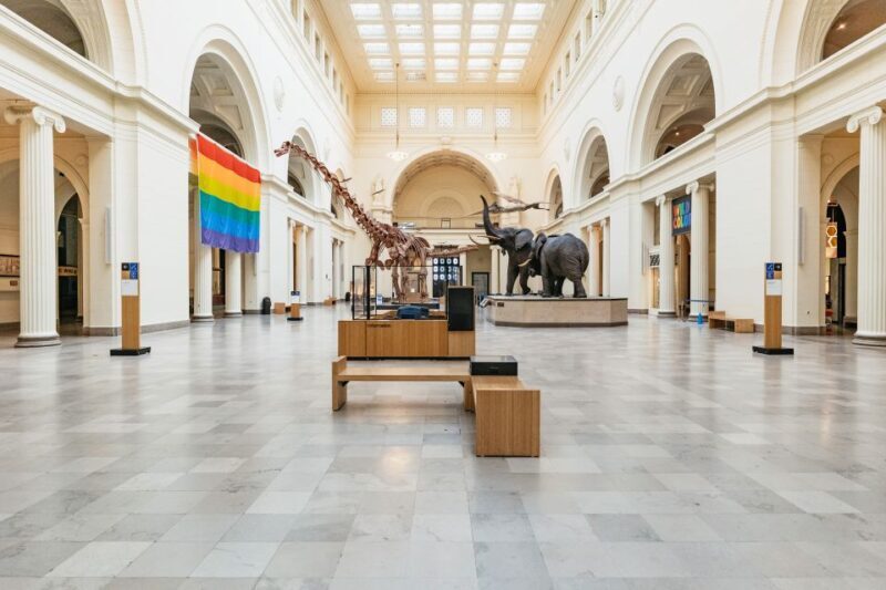 Chicago: Field Museum of Natural History Ticket or VIP Tour - VIP Tour: A Closer Look at Dinosaurs