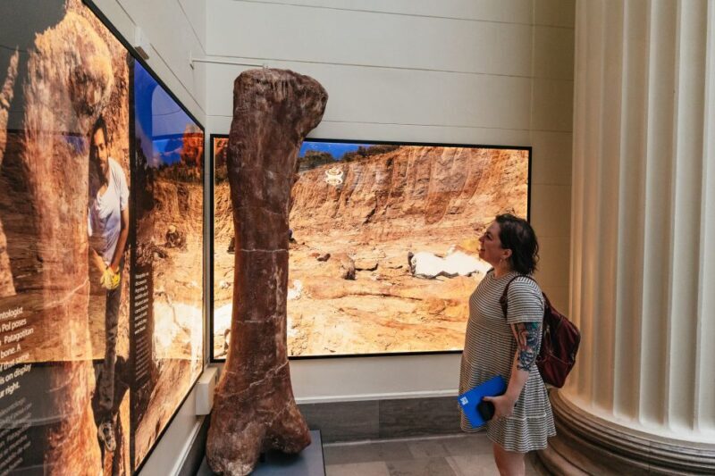 Chicago: Field Museum of Natural History Ticket or VIP Tour - An In-Depth Look at the Field Museum Experience