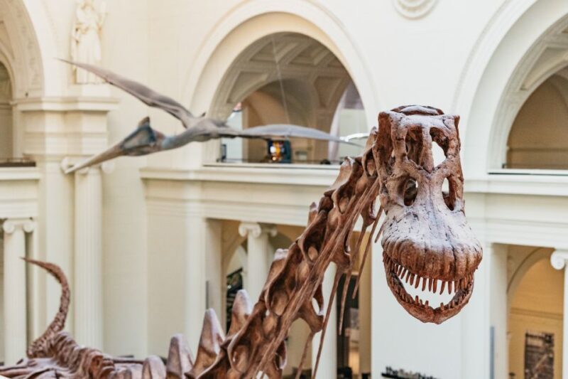 Chicago: Field Museum of Natural History Ticket or VIP Tour - Final Thoughts: Is It Worth It?