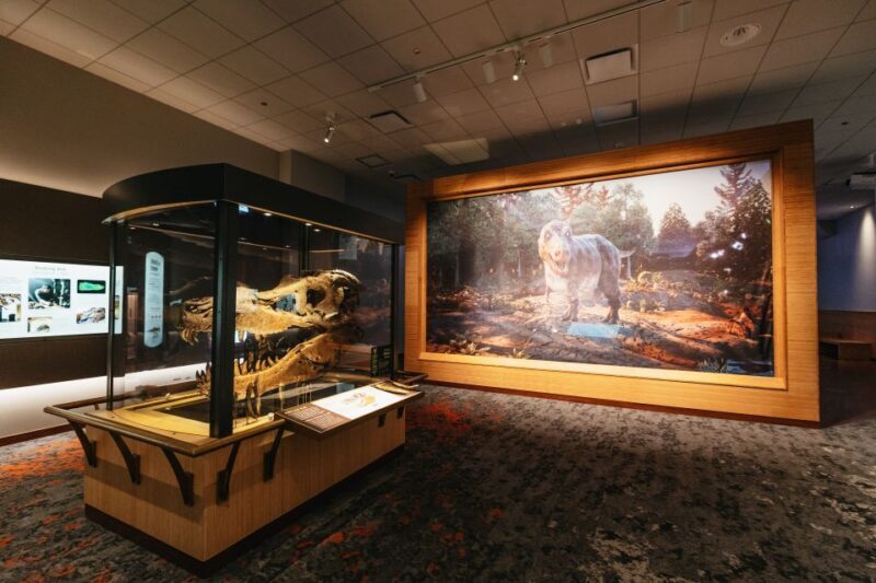 Chicago: Field Museum of Natural History Ticket or VIP Tour - FAQ