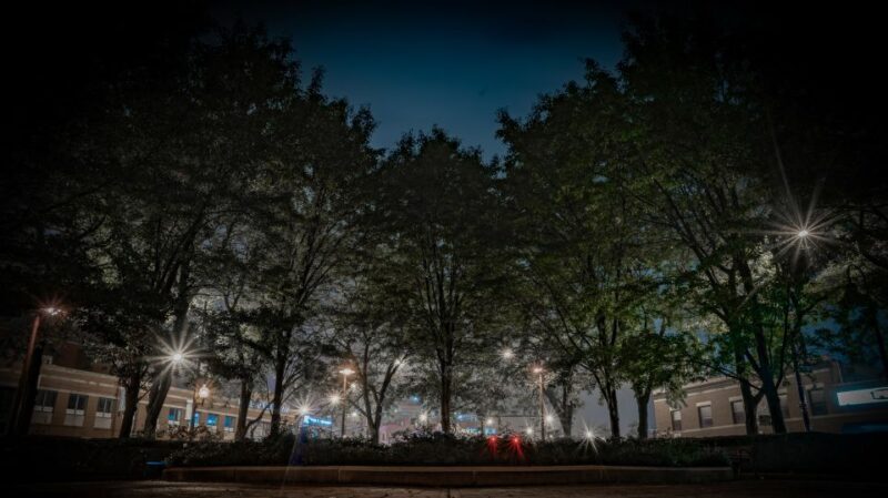 Chicago: Ghosts & Hauntings of the Windy City Walking Tour - Frequently Asked Questions