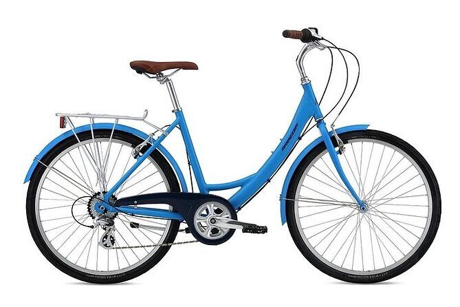 Chicago Half-Day Bike Rental - Highlights: What Youll Love