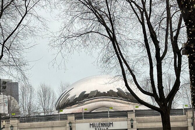 Chicago In A Day With A Local - Who Will Love This Tour?