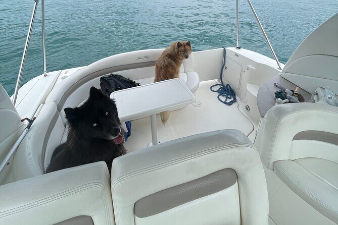 Chicago Private Boat Rental - Explore Chicago's Skyline & Waters - Setting Sail: What the Experience Looks Like