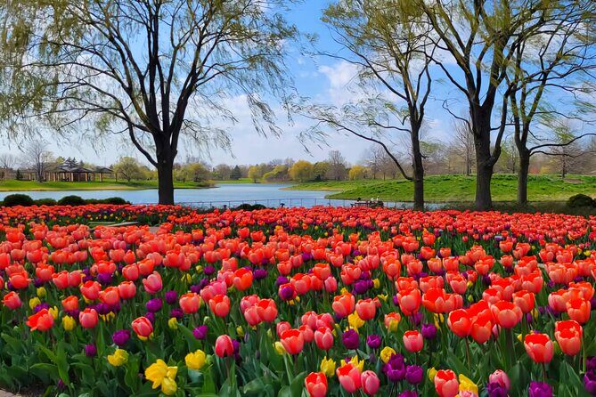 Chicago Suburbs Hidden Gems: Small-Group Exploration Tour - Transportation and Group Size