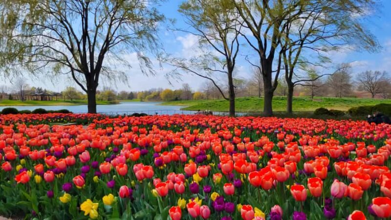 Chicago Suburbs: The Hidden Gems Tour - Key Points