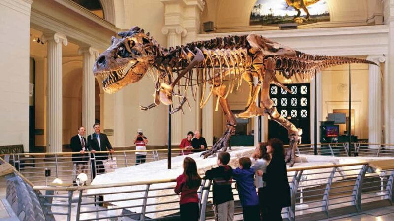 Chicago : The Field Museum Skip the Line 2H Guided Tour - Analyzing the Cost and Value