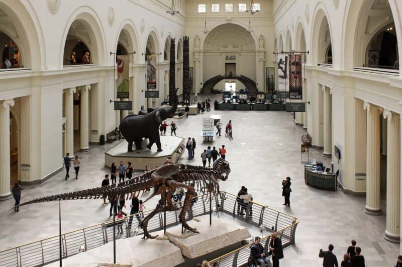 Chicago : The Field Museum Skip the Line 2H Guided Tour - Practical Tips for Your Visit