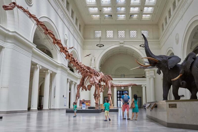 Chicago : The Field Museum Skip the Line 2H Guided Tour - Who Is This Tour Best For?