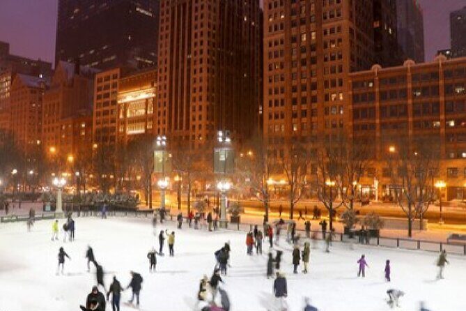 Chicagos Festive Lights: A Magical Christmas Journey - Who This Tour Is Best For
