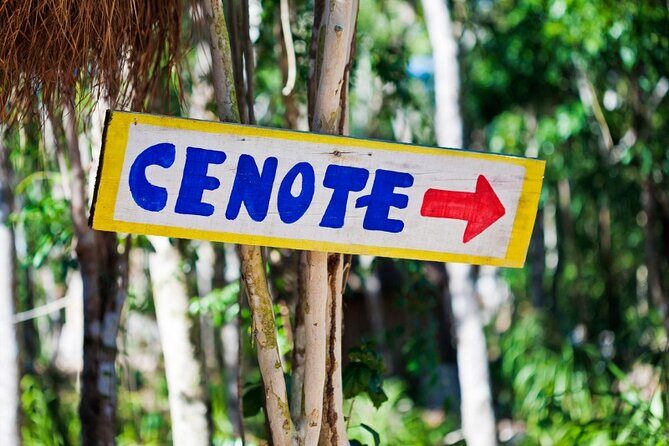 Chichen Itza - Cenote and Valladolid - Who Should Book This Tour?