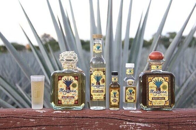 Chichen Itza, Cenote, Tequila and Valladolid Tour from Cancun - Is This Tour Right for You?