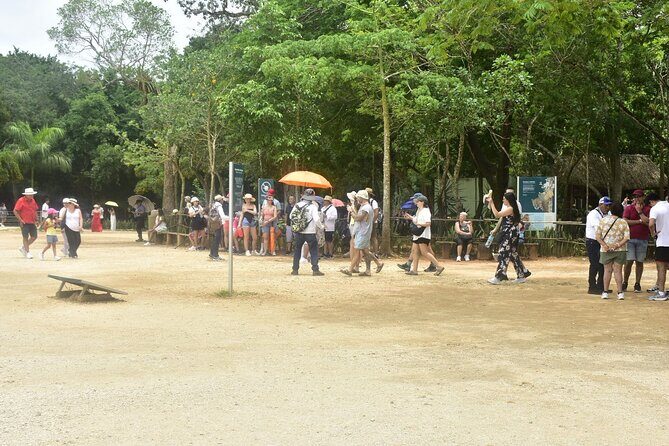 Chichén Itzá Day Trip from Tulum with Cenote & Valladolid - Who Should Consider This Tour?