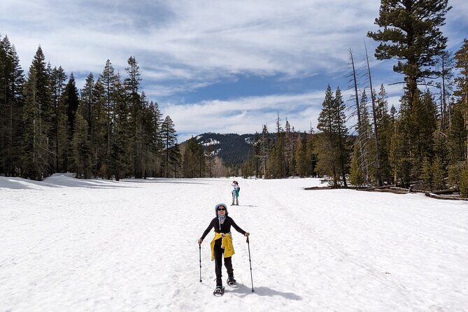 Chickadee Ridge Beginner Snowshoe Activity - Meeting Point and Logistics