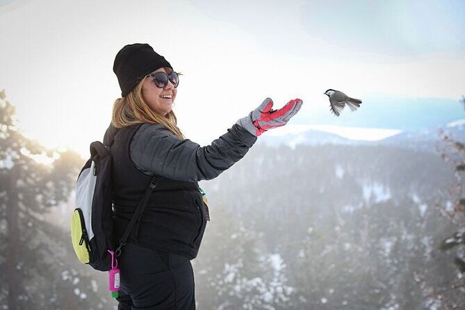 Chickadee Ridge Beginner Snowshoe Activity - Who Will Love This Experience?