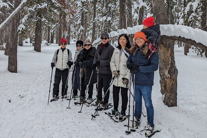 Chickadee Ridge Beginner Snowshoe Activity - The Sum Up: The Ideal Winter Escape