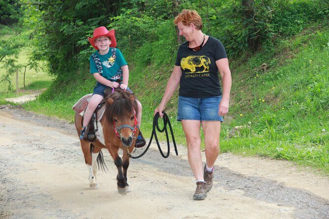 Children Mini Horse Rides - Key Points