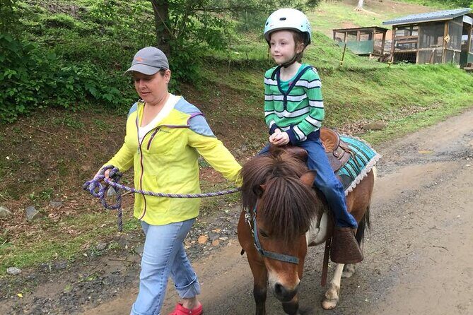 Children Mini Horse Rides - What to Expect from the Mini Horse Rides