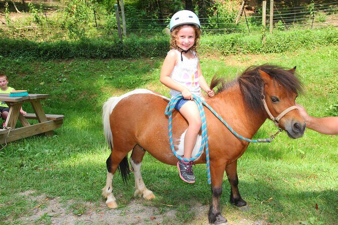 Children Mini Horse Rides - Practical Tips for Participants