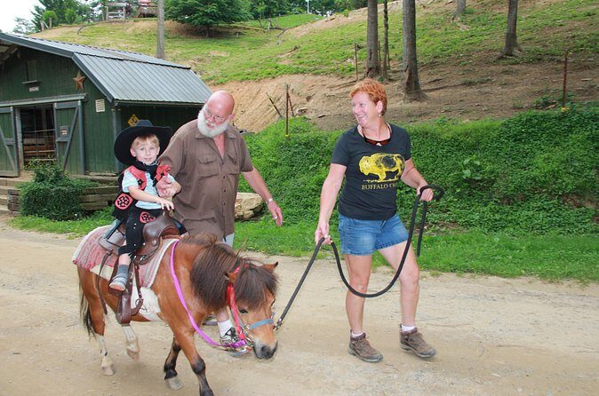 Children Mini Horse Rides - FAQ
