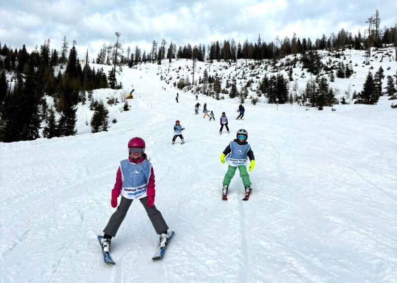Children's ski course (4-15 yrs.) for advanced skiers - Tauplitzalm - Who Is This Experience Best For?