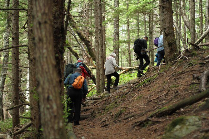 Chilkat Inlet Coastal Hike in Haines - Introduction