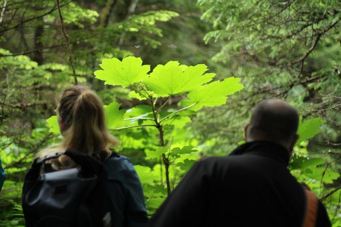 Chilkat Inlet Coastal Hike in Haines - Authentic Experiences from Past Travelers