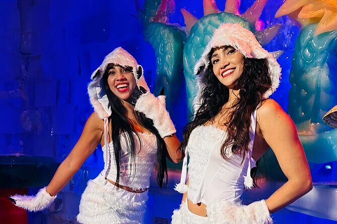 Chill at -18°C Isla Mujeres Ice Bar (tickets) - Introduction