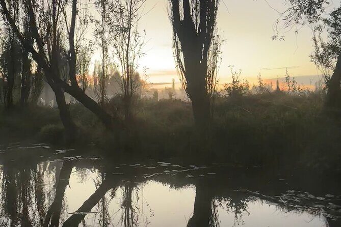 Chinampas Eco Immersion Mexico City - Authenticity and Unique Aspects