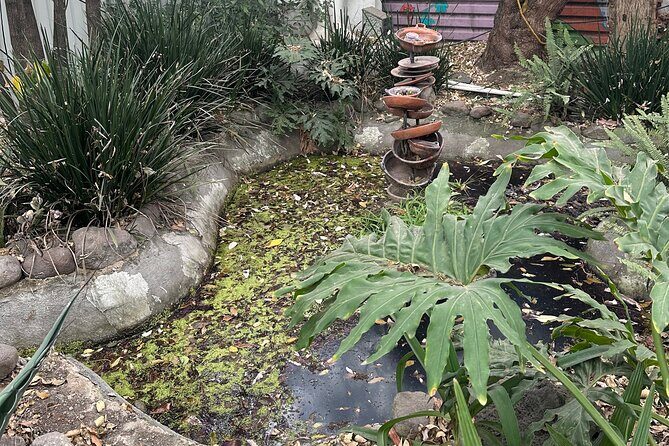 Chinampas Eco Immersion Mexico City - Who Should Consider This Tour?